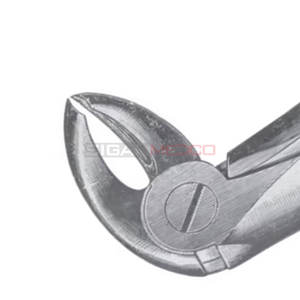 Fig. 15 Forceps d'extraction de dents de tailles différentes Instruments médicaux dentaires Prix de gros Fournisseur en vrac - Product Image 6