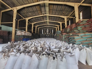 Poivre noir de haute qualité 500GL 550GL 570GL 5MM Piment séché brut Transformation en gros Vente chaude Épices du Vietnam ANNA DO - Product Image 6