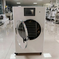 Commerciële kleine vriesdroogmachine voor snoep, fruit en voedsel, lyofilisator, prijs voor thuisgebruik met vacuümpomp