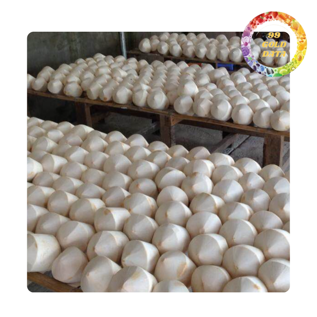 Fresh Young Coconut With Easy Open Cap and Straw | Bulk supply with good price | Suitable for wholesale supermarket and resort