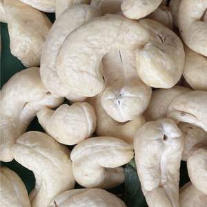 W320เม็ดมะม่วงหิมพานต์จากโรงงานซันติโกเวียดนามส่งออกไปยังสหภาพยุโรปตะวันออกกลางราคาที่ดีที่สุด - Product Image 1