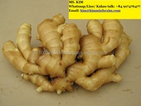 新鲜老姜 10公斤/箱 越南KMI品牌 ISO认证 100%天然品质 微辣 价格实惠 HP 0084 917 476 477
