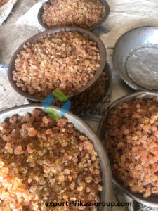 Gomme d'acacia crue biologique Poudre arabique Produit naturel et agricole Traitement de l'acacia d'origine - Product Image 2