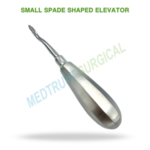 Elevador Dental Quirúrgico Pequeño en Forma de Pala, Instrumento de Acero Inoxidable para Extracción de Dientes y Elevación de Raíces - Product Image 2
