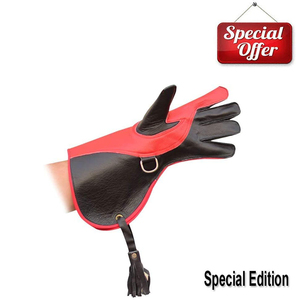 ถุงมือหนังเหยี่ยวถุงมือหนังเหยี่ยวสองชั้นถุงมือล่าสัตว์ดีไซน์ใหม่ - Product Image 5