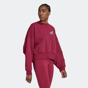 Meilleures ventes de puloever pour femmes sweats d'hiver tissu tricoté de haute qualité Design unique Logo professionnel sweats à capuche sweats - Product Image 4