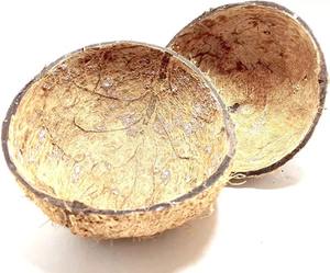 Compre material de cáscara de coco crudo a precio mayorista con entrega rápida y calidad superior - Product Image 1