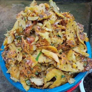 Peau d'ananas séchée de qualité supérieure, fabriquée au Vietnam, en gros, au meilleur prix, ananas de haute qualité - Product Image 2