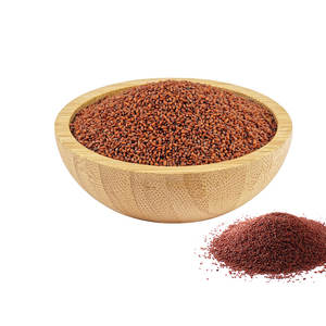 Berro | Crecimiento sin químicos | Amado en dietas naturales - Product Image 1