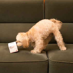 [LifLit] Suplementos Veganos Antioxidantes y Altos en Proteínas para Perros y Gatos, Granulados de Absorción Rápida, Refuerzo Inmunológico, Suplementos para la Salud de Mascotas con un Solo Ingrediente Cárneo - Product Image 2
