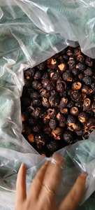 Nuez de jabón de Vietnam (Sapindus) /Frutas orgánicas de soapberry de proveedor de confianza - Product Image 6