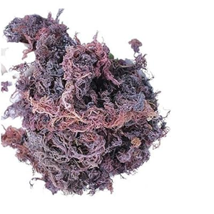 Nutre tu cuerpo con musgo marino salvaje, un superalimento natural - Product Image 1