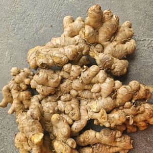 Tươi trẻ gừng từ Việt Nam 100% tươi toàn bộ cho người mua và thảo dược sử dụng - Product Image 6