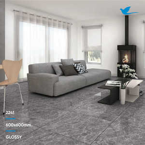 กระเบื้องปูพื้นพอร์ซเลนสีเทาคุณภาพสูง สไตล์ตกแต่งบ้านแบบอินเดียใหม่ ขนาด 600x600 มม. (60x60 ซม.) สำหรับผนังภายใน ดีไซน์ล่าสุด - Product Image 5