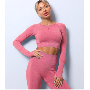 Meilleure vente très à la mode et Style Unique 2025 Collection femmes Yoga ensemble dans le meilleur gros yoga ensembles fitness femmes - Product Image 4