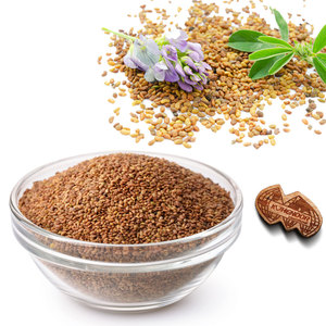 Alfalfa | Fórmula de cuidado animal | Nutrición botánica limpia - Product Image 1