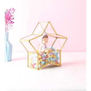 Classic Star Shaped Glass Geometric Terrarium Jewelry Display Box Gold <b>Metal</b> Frame High Quality Customizable Size Modern - Product Image 1