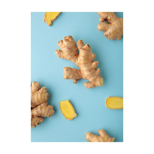 High yield fresh ginger available for sale with fast export and packing options - Product Image 5