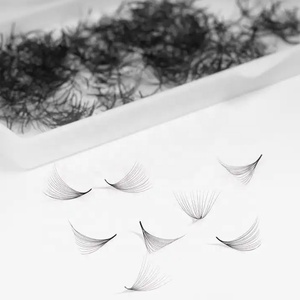 C, CC, D, DD, L, M Curl Premades thermocollés Volume Lashes 0.03 0.07 0.05 Promade Fans 3D Mixed Promade Extensionsdiy - Product Image 2