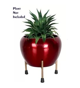 Maceta de mesa suculenta personalizable pequeña rosa roja para interiores, maceta de flores de Color con soporte de trípode, cuenco decorativo para jardín y hogar - Product Image 6