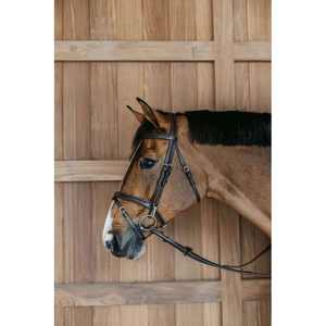 Flash Noseband Brida con Snap Cheekpieces Cuero genuino Caballo Brida Fabricante - Product Image 6