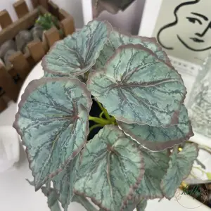 Simulação de planta verde de 29 cm, 22 cachos, folhas de begônia azul com vaso, departamento de senshi para decoração de casa, fotografia e adestramento