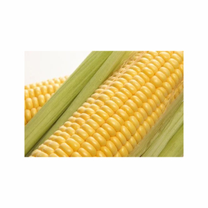 Almidón de Tapioca 100% Orgánico, Almidón de Maíz Modificado de Grado Alimenticio, Polvo de Almidón de Patata, Disponible para Exportación en Todo el Mundo - Product Image 5