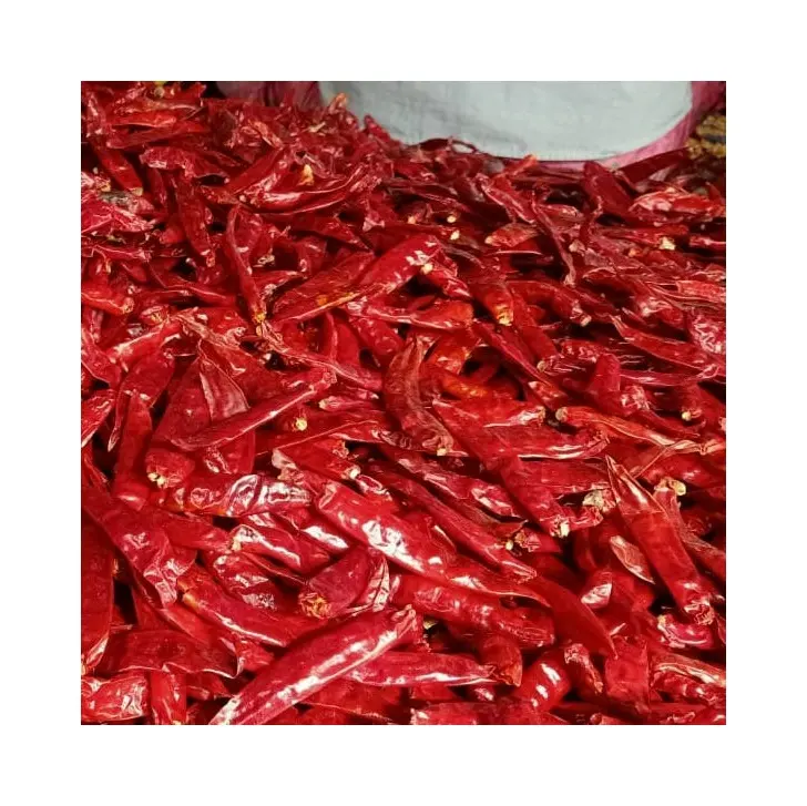 प्राकृतिक सूखे लाल मिर्च वियतनामी मिर्च उच्च गुणवत्ता वाले खाना पकाने के मसाले कोई Additives विज्ञापन सुखाने प्रसंस्करण