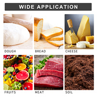 pH-mètre numérique 2-en-1 pour aliments et sols avec mesure de la température |   Testeur à sonde remplaçable haute précision pour l'analyse de la pâte, de la viande et des fruits OEM