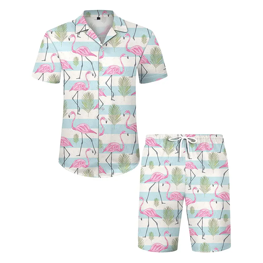 Costumes d'été pour hommes ensemble de deux pièces pour la plage Hawaiian Beach Wear Short Pants 2 Piece Set