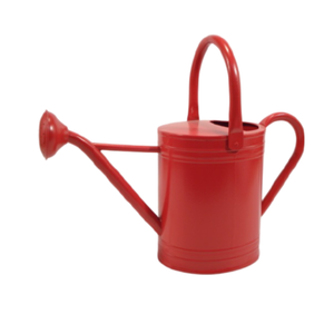 Le métal d'arrosage enduit de poudre blanche de haute qualité peut la conception simple parfaite pour l'arrosage de fleurs de plantes pour la décoration de jardin - Product Image 2