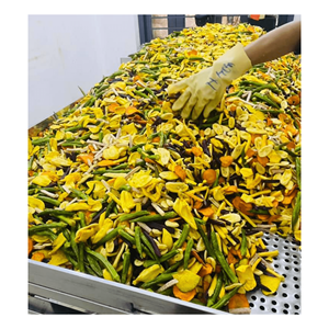 2024 personnalisation en usine délicieux sans sucre frits sous vide mélangés de fruits et légumes collations en vrac - Product Image 6
