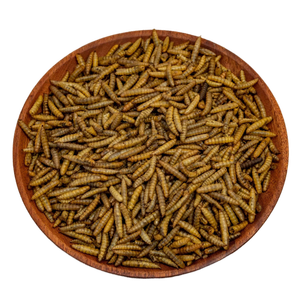 Trocken futter protein reich Getrockneter schwarzer Soldat Fliegen larven Kalzium reiche Würmer für Hühner für Vogelfutter - Product Image 1