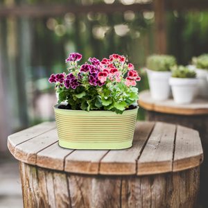 Maceta Redonda Hecha a Mano de Metal Galvanizado, Ecológica, Estilo Vintage, Color Gris Oscuro, para Decoración de Interiores y Exteriores, Hogar y Jardines - Product Image 6