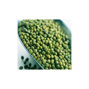 ถั่วเขียวออร์แกนิกสีเขียวสดสไตล์ที่ดีที่สุดสำหรับทำถั่วเขียวแสนอร่อย - Product Image 5