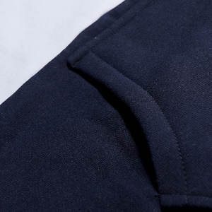 Fabricant de vêtements Sweatshirts unis personnalisés Vente en gros Bloc de couleurs Oem Broderie unisexe Sweats à capuche unis en polyester pour hommes - Product Image 4