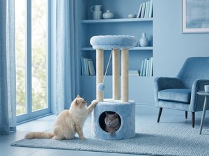 Tour à chat Atlanta Blue Sky avec jeu doux et ludique - Product Image 2