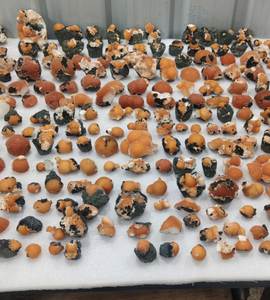 Thomsonite Boule Orange Sur Matrice Minéraux Naturels Pcs De L'Inde Pièce Debout - Product Image 1