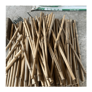 Tubes de bambou Moso du Vietnam de haute qualité, écologiques, en gros pour 2025 - Product Image 5