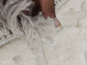 Handmade Cotton Textured Persian Rug | Ivory 3D Abstract Low Pile | PET Friendly Non-Slip Washable Extra <b>Thick</b> Living Area Rug - Product Image 5