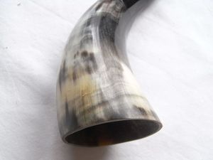 ÚLTIMO CUERNO VIKINGO ROYAL Jarra de beber hecha a mano genuina Cuerno vikingo para Mead Ale y cerveza para - Product Image 4