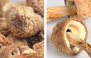 เห็ดหลินจือแห้งแบบ100% - Product Image 6