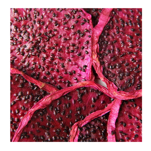 Fruit du dragon séché au goût sucré exporté du Vietnam utilisé dans les coffrets de fruits et les garnitures de fruits du dragon séchés - Product Image 6