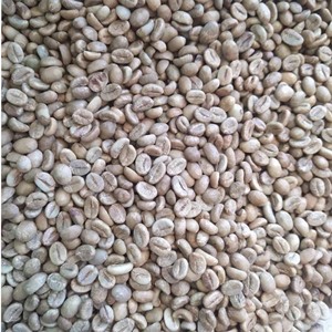 Granos de Café Verde Natural Procesados Grado A Vietnam Arabica S16 Tostado a Granel Venta al por Mayor Bolsa de PP de 60 kg - Product Image 6