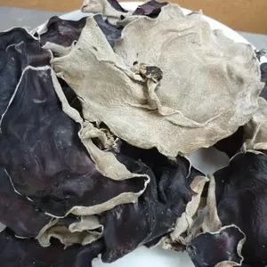 越南新作物干黑蘑菇黑黑木耳干