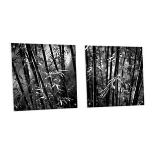 Ensemble de 2 Bambou Forêt Bambou Acrylique Art Mural Verre Premium Accents Muraux - Product Image 1