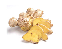 Gingembre frais séché de haute qualité Prix du marché par tonne Acheteurs en gros de gingembre pour l'exportation Gingembre jaune de qualité supérieure