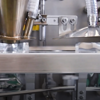 Machine d'emballage horizontale automatique Acepack pour sachets plats, pour poudre de thé, café, épices, granulés, liquides