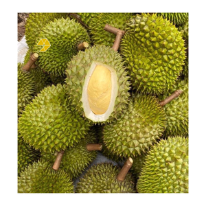 ราคาถูก Monthong/Ri6แช่แข็งทุเรียนพรีเมี่ยมสดทุเรียนเยื่อ/ทั้ง/เนื้อสำหรับส่งออกจากเวียดนาม - Product Image 5