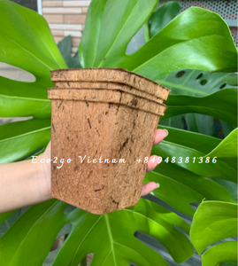 Pot en fibre de coco biodégradable 100% en gros/fibre de coco pour pot/pot de fleur en fibre de coco fabriqué en Eco2go Vietnam - Product Image 5